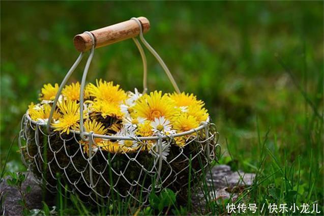 父母|结婚时女方没说要彩礼,男方主动掏6万6,女孩父母:对她好就行