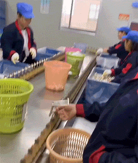 搞笑|搞笑GIF：聚会都让手机搞成什么样了，好心疼大姐