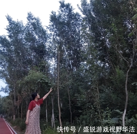 作者|未来可期,感谢相伴——赠予相处6年的朋友芽姐 作者:吖芽 学生