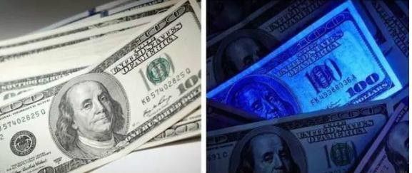 给出|狗为什么能看到人类看不到的东西科学家给出了解释