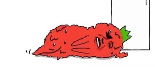 竹夫人|没有空调,古人都有哪些避暑神器