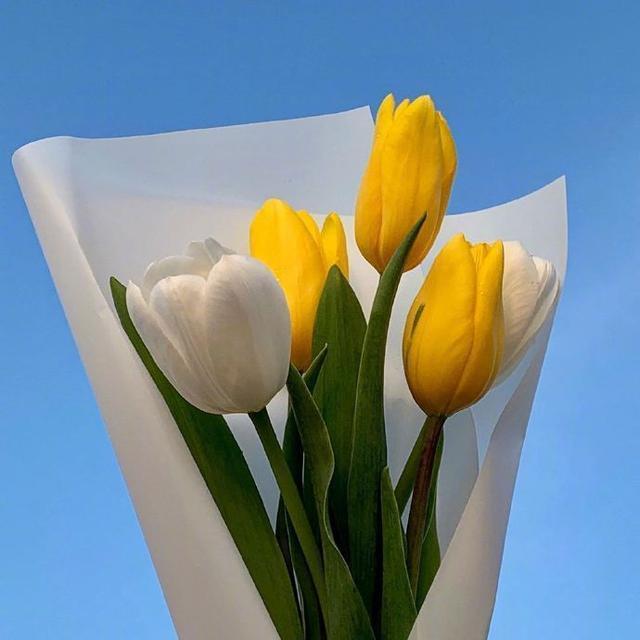 迷人|朋友圈超迷人的早安句子,干净治愈,沁人心脾!