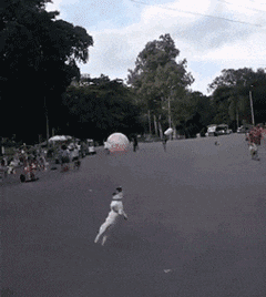 GIF|搞笑GIF:公司发现一漂亮的女工