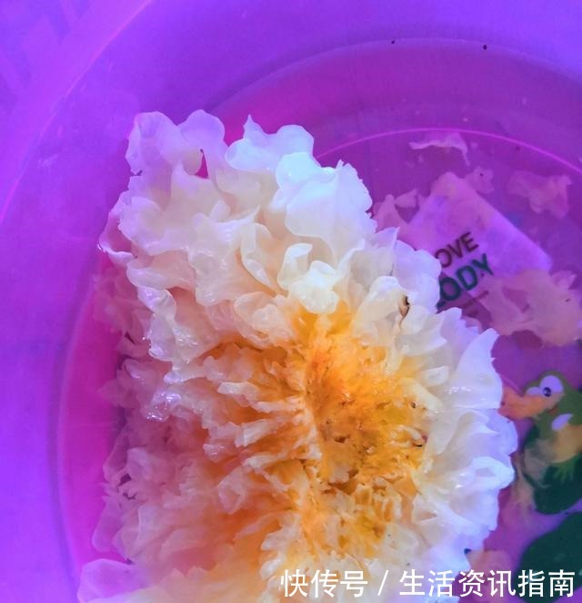 银耳|立秋之后,老婆一定喝“它”,补气血身体好,皮肤也变嫩了