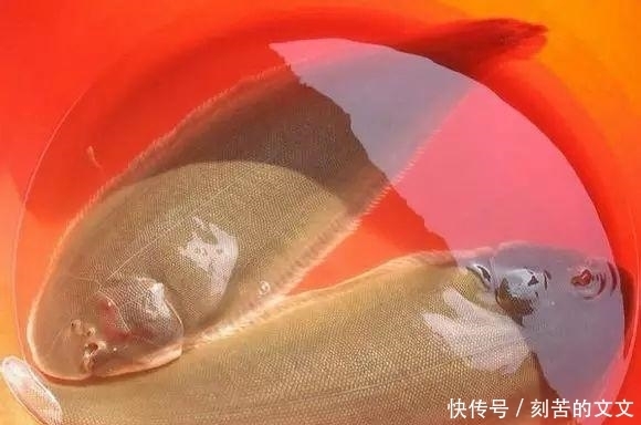  认出|海鲜大全, 你能认出多少