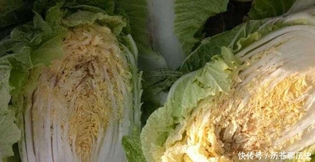  防治|大白菜外面好好的，打开心却烂了，咋回事？白菜干烧心怎么防治？