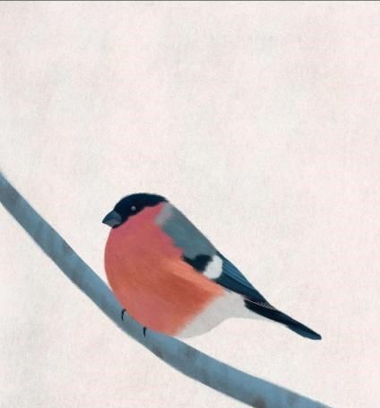 精辟|24条噎死人的短句子,精辟到无可反驳,简直太绝了