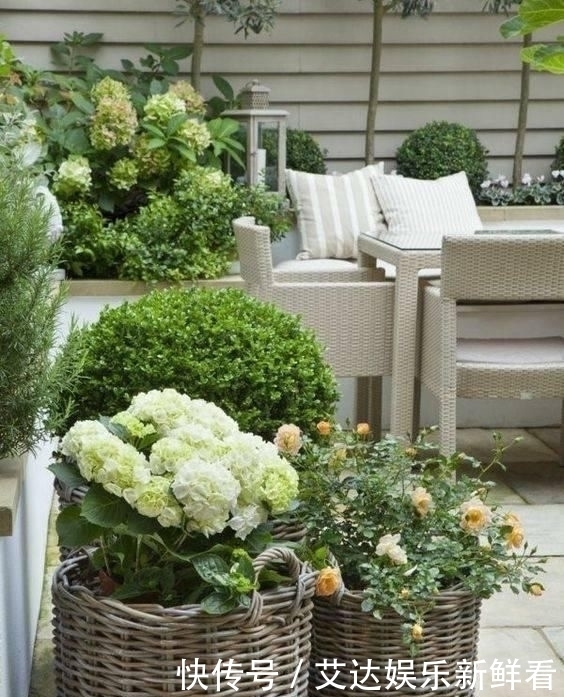 暮年|你我暮年,有个小院,足矣!