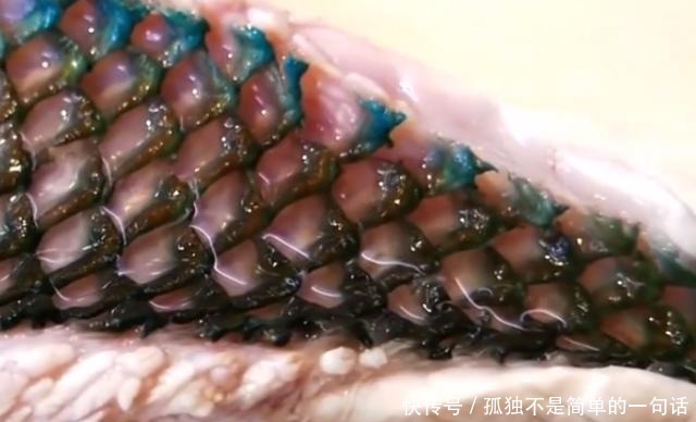 动刀|看看印度人怎么吃鱼20斤的草鱼,动刀第一步就让人大开眼界