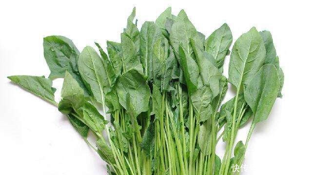 菠菜可以|菠菜和它是天生的死对头,不能一起食用,现在知道还不晚