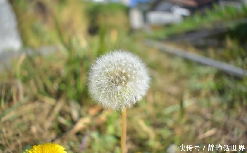 运势|7号8号9号运势一飞冲天,财富说爆发就爆发,大富特富的三生肖