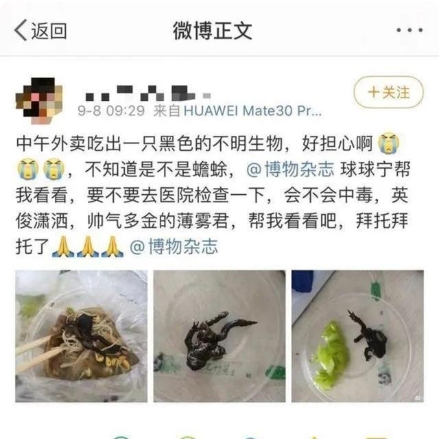 食品安全|女子点了份外卖,却吃出一只完整癞蛤蟆?商家:你恶心到我了