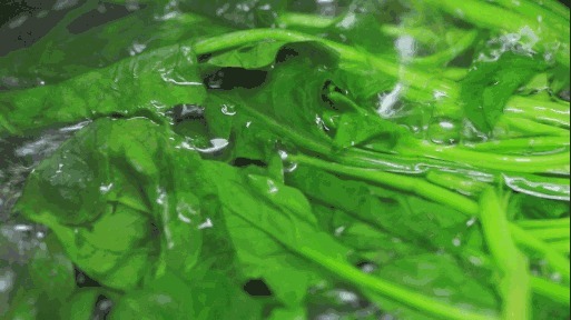  有毒|这3种蔬菜，越新鲜越有毒，吃多了甚至会致命！尤其是第一种