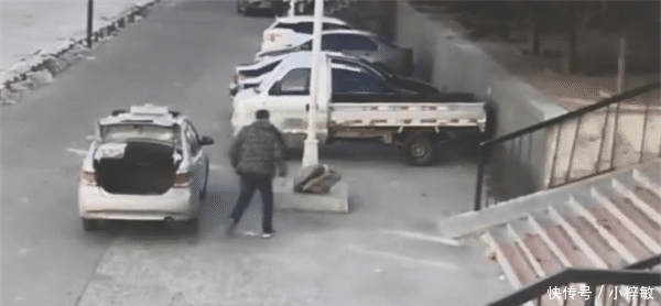 大鹅和鱼|女高中生带4斤大鹅10斤鱼, 想改善伙食, 却被俩的哥顺走吃掉