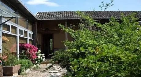 小院|20多岁的年龄差距,却把一个破烂的农家小院变成了“桃花源”