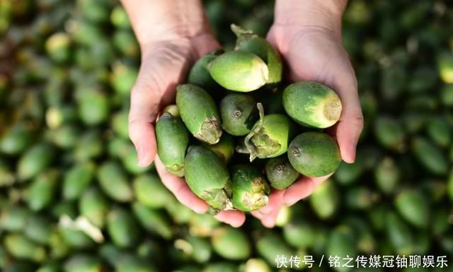 尽量|4种被列入“黑名单”的水果,尽量别去碰,最后1种吃了会“上瘾”