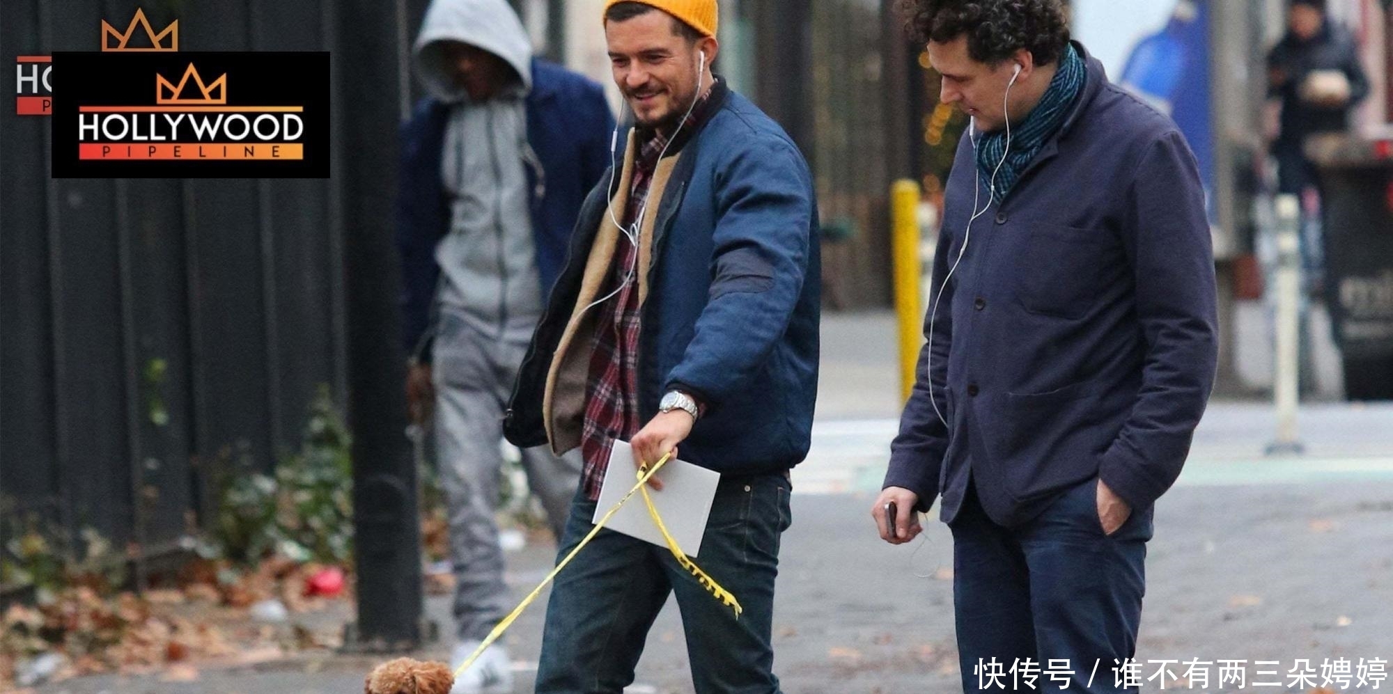  奥兰多|经过7天搜寻，奥兰多布鲁姆宣布失踪的狗已经死亡，只找到了项圈