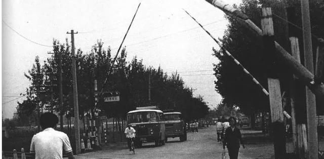 大街|1979年老照片：行人过马路走斑马线，当时大街上还是以自行车居多