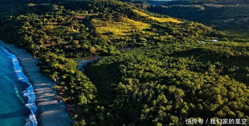福多|8月开始,得贵人扶持,运势妙不可言,福多财旺的四大生肖