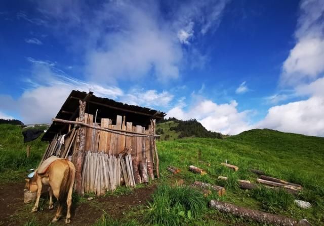 神山|无深度不云南——丽江巴拉神山徒步穿越攻略