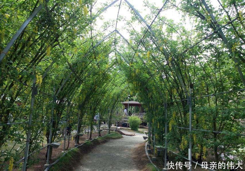 小雅|父母要彩礼女儿坚持不要，结婚该要彩礼吗？3个女人给出答案