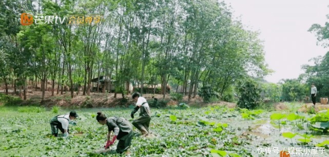 播片|《向往的生活》未播片段长达一小时,宋威龙摸河蚌,汪苏泷又偷懒