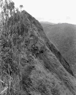  太平洋|燃烧的西南太平洋（八）：双线追击——休恩半岛战役