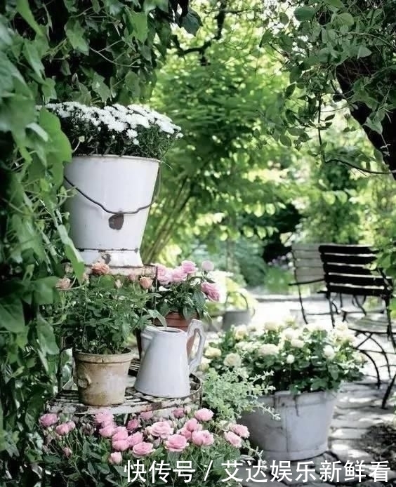 暮年|你我暮年,有个小院,足矣!