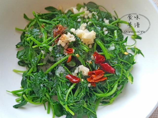 春天|春天碰到这野菜别犹豫,我一买就是20斤,营养价值高,常吃身体好