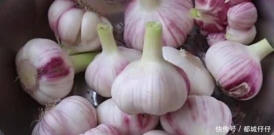 方法|大蒜腌制的新方法,味道鲜美开胃,值得一试