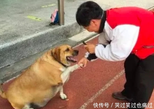 老师|小学生惊呼学校发现一头“牛”，老师赶过来差点笑哭了