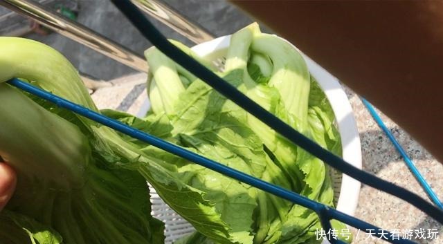 家传|家传秘制腌咸酸菜,一点都不难,过程简单大放送了