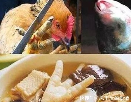 吓人|这4道菜已经被禁了,即使做出来你们不一定能吃得下,真的很吓人