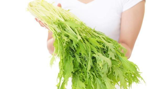  储存|中国著名的四大泡菜，味道鲜美，不贵，建议多储存