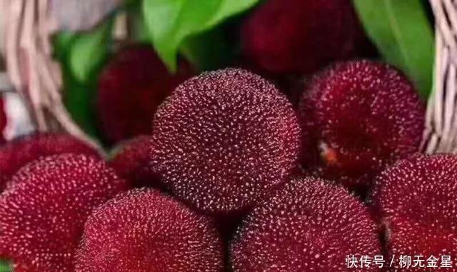 夏天|在夏天,有必要自制来解暑,高颜值杨梅是解暑的好选择,当季是有