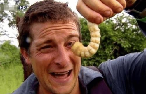 贝爷|当年贝爷在录制《荒野求生》时,不小心吃了一种保护动物,最终结果如何了