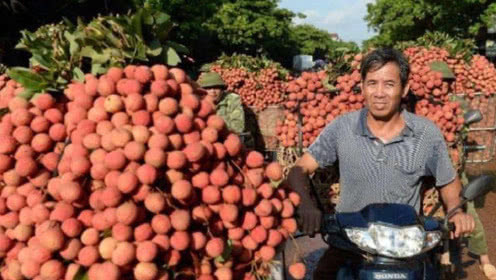 效仿|印度引进“中国特产”却成毒药效仿中国出口,受尽了侮辱