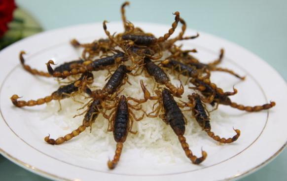 云台山|今天小编为大家介绍几道云台山的特色菜, 去旅游的你, 别错过哦