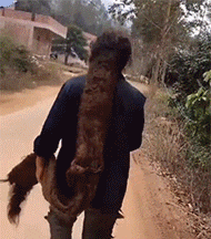 GIF|搞笑GIF:求求你了,让我吃点吧,不然的话我就抢了啊