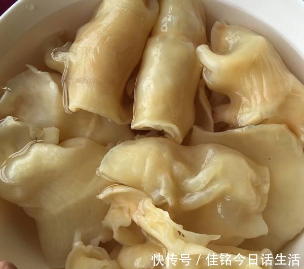 手把手|细数花胶的那些坑,鱼胶和鱼鳔并不一样,潮汕人手把手教你选花胶