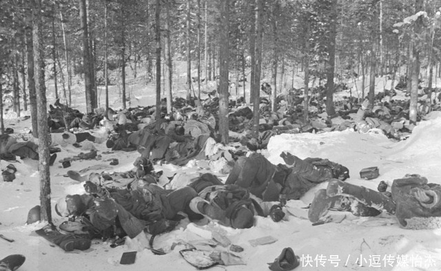  拿下|拿破仑和希特勒都在莫斯科惨败，蒙古人为何却能一举拿下莫斯科？