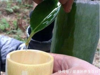 骗局|竹筒酒存在“骗局”那是你不懂制作过程,看完感觉智商不够用