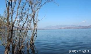 随风|余生,让往事随风,让爱恨随意!