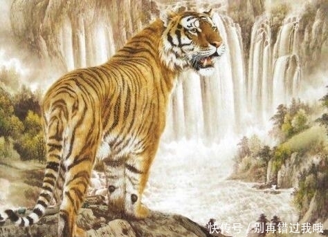 生肖|这三个生肖洪福齐天,财源滚滚,一辈子都不愁没花钱!