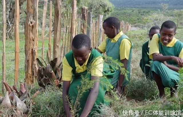 嫁给|只值4头牛？肯尼亚女娃被亲爹出卖嫁给老人，为逃跑被迫再嫁人
