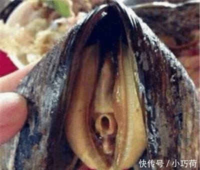 天天|和南方人吃饭的尴尬！让人“想歪”的菜，外地人吃不惯！当地天天想要