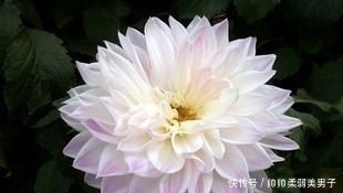 菩萨|身份证最后一位数是这三个数，有菩萨保佑，一生都有好运气