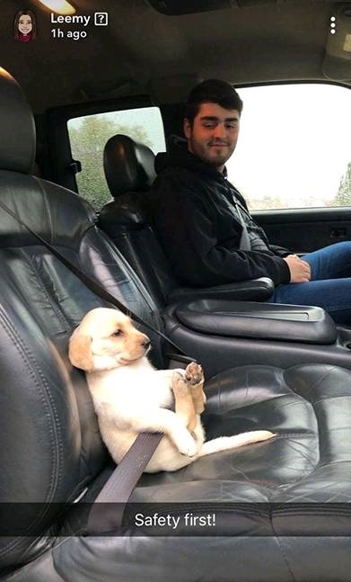 图片|趣味图片幽默段子:哈哈哈,奶奶你就是这样给宝宝称重的吗