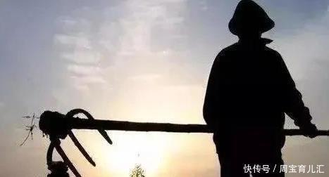 蔬菜|蔬菜行业内涵多,没开种惨亏500万!这些雷区不要踩