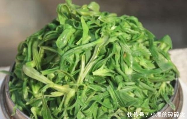 侵权请告知删除|北方特有的一种野草,被称“救命菜”能润肺止咳!